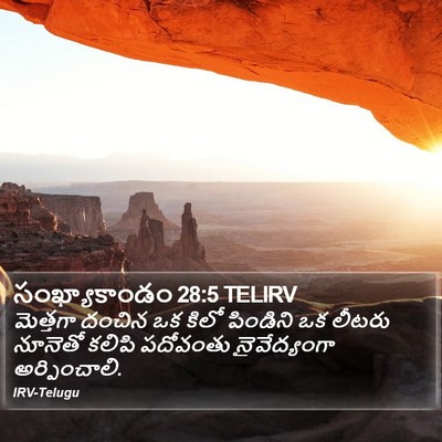 సంఖ్యాకాండం 28:5 TELIRV Bible Verse Image