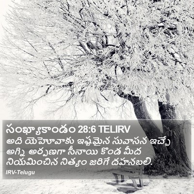 సంఖ్యాకాండం 28:6 TELIRV Bible Verse Image