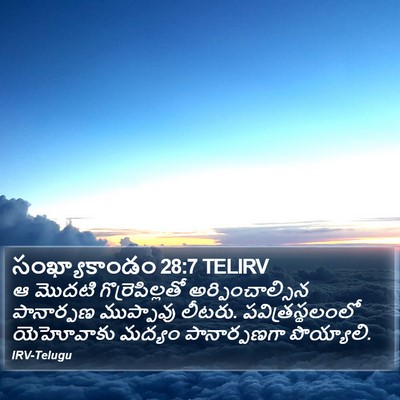 సంఖ్యాకాండం 28:7 TELIRV Bible Verse Image