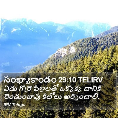 సంఖ్యాకాండం 29:10 TELIRV Bible Verse Image