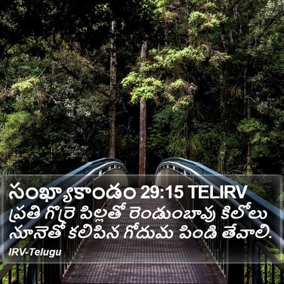 సంఖ్యాకాండం 29:15 TELIRV Bible Verse Image