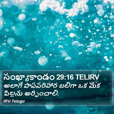 సంఖ్యాకాండం 29:16 TELIRV Bible Verse Image