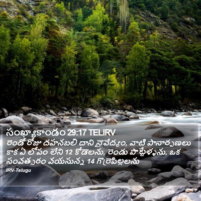 సంఖ్యాకాండం 29:17 TELIRV Bible Verse Image