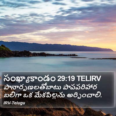 సంఖ్యాకాండం 29:19 TELIRV Bible Verse Image