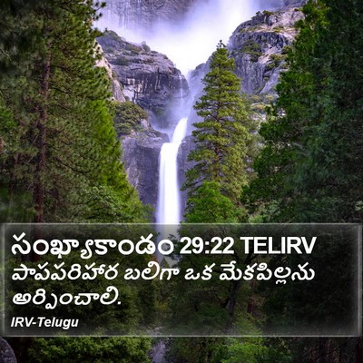 సంఖ్యాకాండం 29:22 TELIRV Bible Verse Image