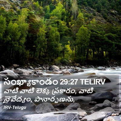 సంఖ్యాకాండం 29:27 TELIRV Bible Verse Image