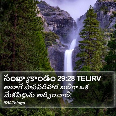 సంఖ్యాకాండం 29:28 TELIRV Bible Verse Image