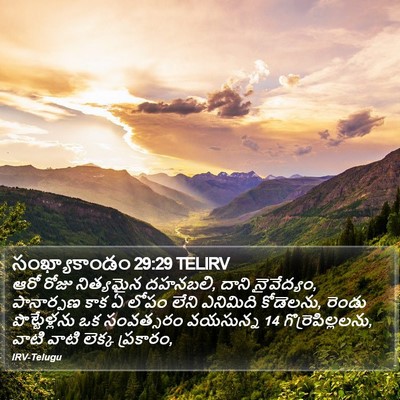 సంఖ్యాకాండం 29:29 TELIRV Bible Verse Image