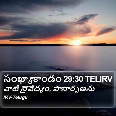 సంఖ్యాకాండం 29:30 TELIRV Bible Verse Image