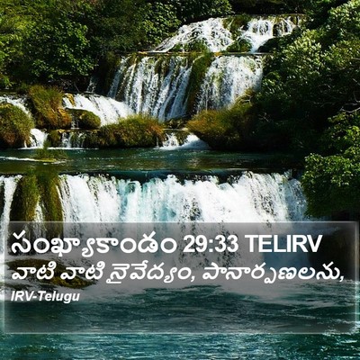 సంఖ్యాకాండం 29:33 TELIRV Bible Verse Image