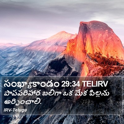 సంఖ్యాకాండం 29:34 TELIRV Bible Verse Image