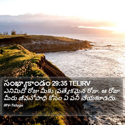 సంఖ్యాకాండం 29:35 TELIRV Bible Verse Image