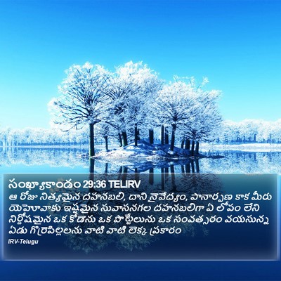 సంఖ్యాకాండం 29:36 TELIRV Bible Verse Image
