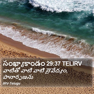 సంఖ్యాకాండం 29:37 TELIRV Bible Verse Image