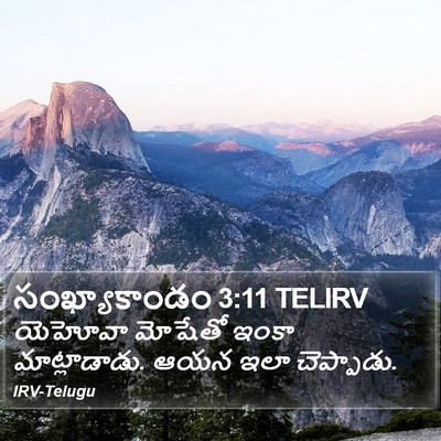 సంఖ్యాకాండం 3:11 TELIRV Bible Verse Image