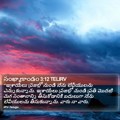 సంఖ్యాకాండం 3:12 TELIRV Bible Verse Image