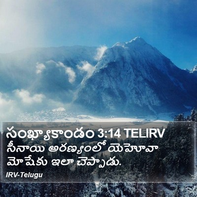 సంఖ్యాకాండం 3:14 TELIRV Bible Verse Image