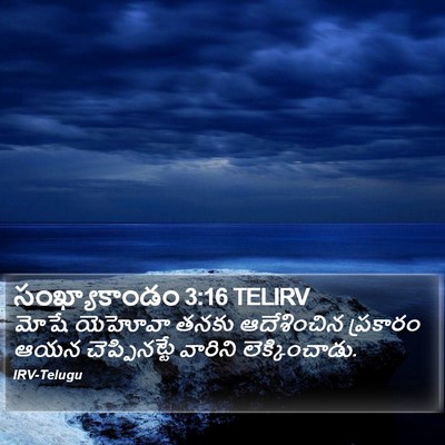 సంఖ్యాకాండం 3:16 TELIRV Bible Verse Image