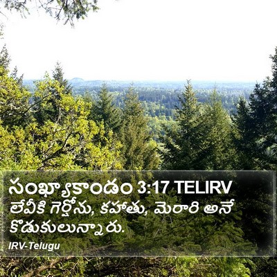సంఖ్యాకాండం 3:17 TELIRV Bible Verse Image
