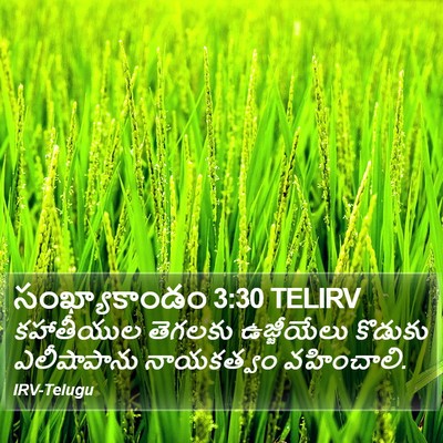 సంఖ్యాకాండం 3:30 TELIRV Bible Verse Image
