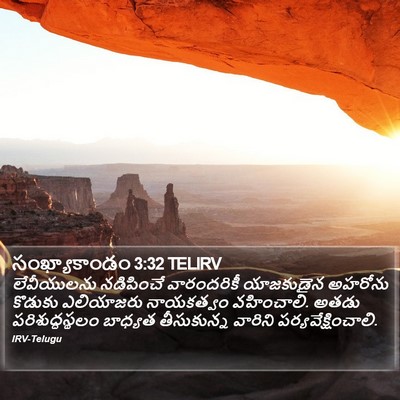 సంఖ్యాకాండం 3:32 TELIRV Bible Verse Image