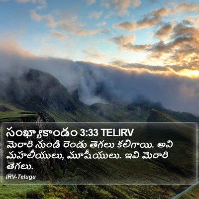 సంఖ్యాకాండం 3:33 TELIRV Bible Verse Image