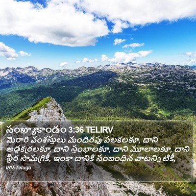 సంఖ్యాకాండం 3:36 TELIRV Bible Verse Image