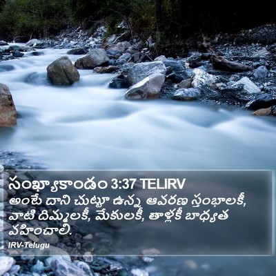 సంఖ్యాకాండం 3:37 TELIRV Bible Verse Image