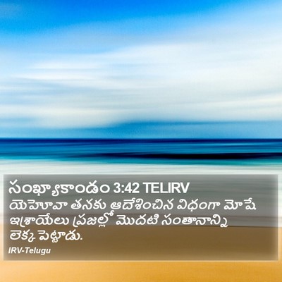 సంఖ్యాకాండం 3:42 TELIRV Bible Verse Image