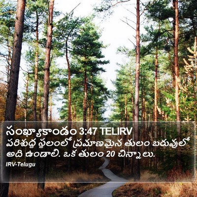 సంఖ్యాకాండం 3:47 TELIRV Bible Verse Image