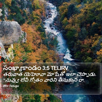 సంఖ్యాకాండం 3:5 TELIRV Bible Verse Image