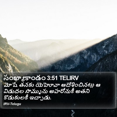 సంఖ్యాకాండం 3:51 TELIRV Bible Verse Image