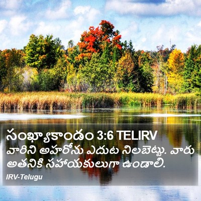 సంఖ్యాకాండం 3:6 TELIRV Bible Verse Image