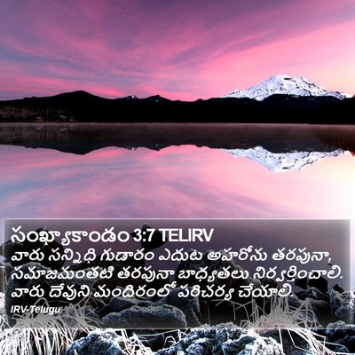 సంఖ్యాకాండం 3:7 TELIRV Bible Verse Image
