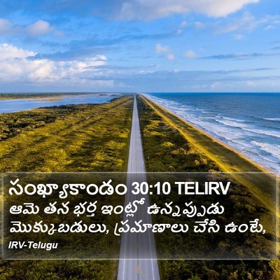 సంఖ్యాకాండం 30:10 TELIRV Bible Verse Image
