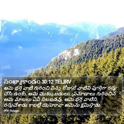 సంఖ్యాకాండం 30:12 TELIRV Bible Verse Image