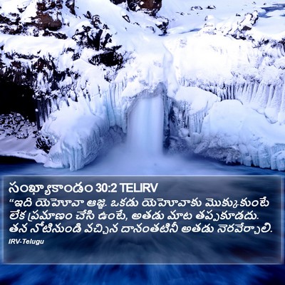సంఖ్యాకాండం 30:2 TELIRV Bible Verse Image