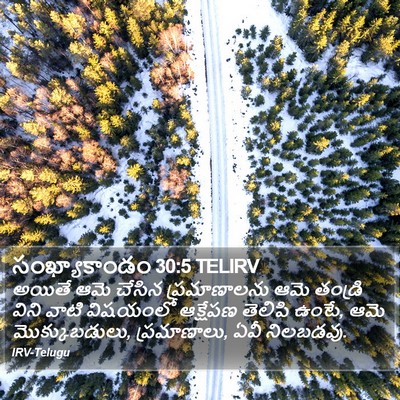 సంఖ్యాకాండం 30:5 TELIRV Bible Verse Image