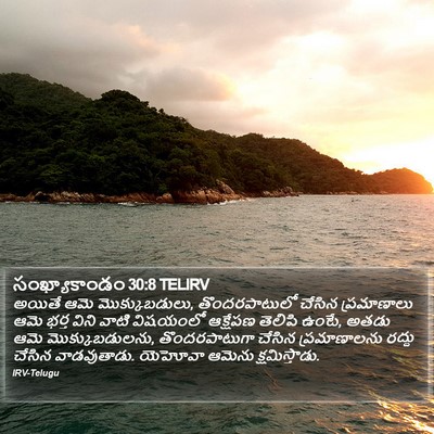 సంఖ్యాకాండం 30:8 TELIRV Bible Verse Image