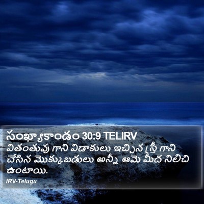 సంఖ్యాకాండం 30:9 TELIRV Bible Verse Image