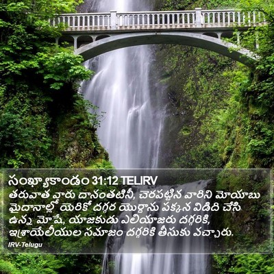 సంఖ్యాకాండం 31:12 TELIRV Bible Verse Image