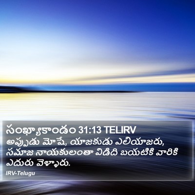 సంఖ్యాకాండం 31:13 TELIRV Bible Verse Image