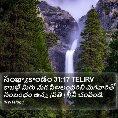 సంఖ్యాకాండం 31:17 TELIRV Bible Verse Image