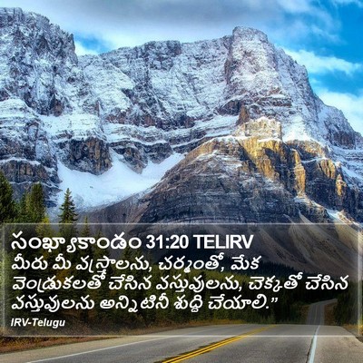 సంఖ్యాకాండం 31:20 TELIRV Bible Verse Image
