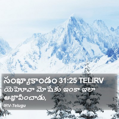 సంఖ్యాకాండం 31:25 TELIRV Bible Verse Image