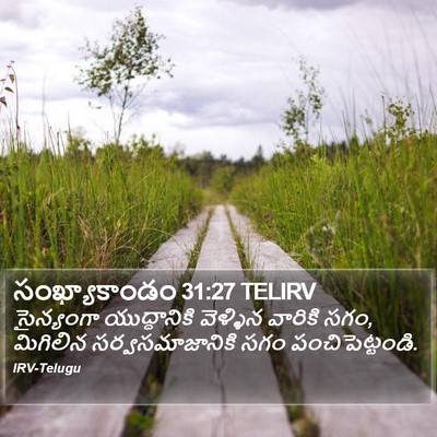సంఖ్యాకాండం 31:27 TELIRV Bible Verse Image