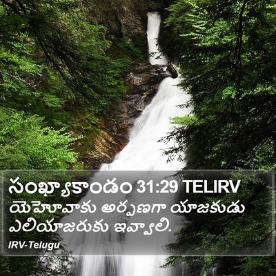 సంఖ్యాకాండం 31:29 TELIRV Bible Verse Image