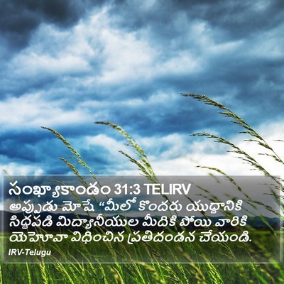సంఖ్యాకాండం 31:3 TELIRV Bible Verse Image