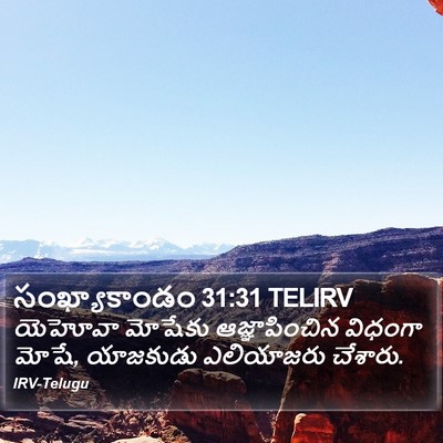 సంఖ్యాకాండం 31:31 TELIRV Bible Verse Image