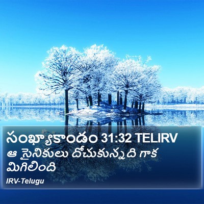 సంఖ్యాకాండం 31:32 TELIRV Bible Verse Image
